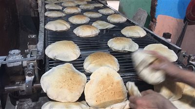 ضبط وتحرير 52 محضرا ومخالفة تموينية بالإسماعيلية | صور