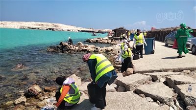 حملة لتنظيف شاطئ روميل بمطروح | صور