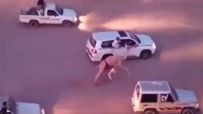 مشهد مرعب.. ألقى بنفسه من السيارة لإنقاذ طفل من دهس الجمل|فيديو 