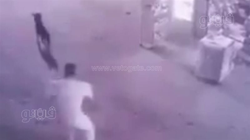الواقعة