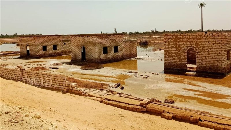 المنازل محيط جزيرة