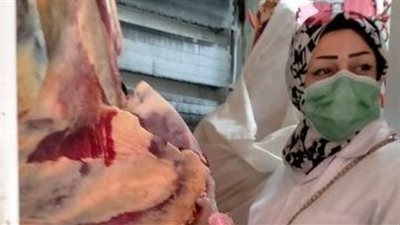 بيطري الشرقية يضبط لحوم فاسدة ويحرر 14 محضر مخالفة 