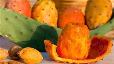 هاني الناظر يكشف حقيقة تسبب التين الشوكي بالأمراض الجلدية 