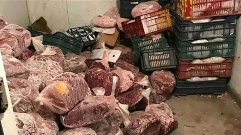 لحوم مجمدة فاسدة