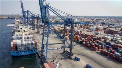 تداول ٢٤ سفينة بضائع متنوعة داخل ميناء دمياط