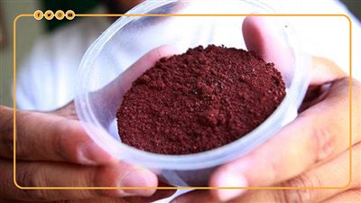 بعد خنافس التانج.. أبرز الحيوانات المستخلص منها الألوان الطبيعية