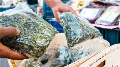 لو رايح مطروح هتجيب إيه.. النعناع الجبلي وعسل البلح الأكثر طلبا في سوق السيويين | فيديو