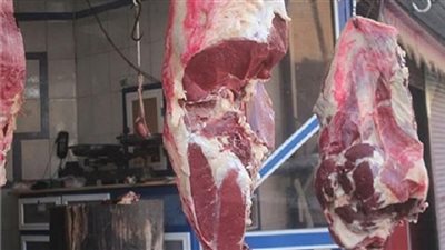 لجنة حماية المستهلك تتحفظ على لحوم مذبوحة خارج المجازر ببني سويف