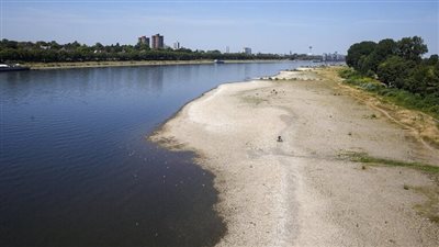 مخاوف من انخفاض نهر الراين إلى مستويات حرجة تهدد الصناعة