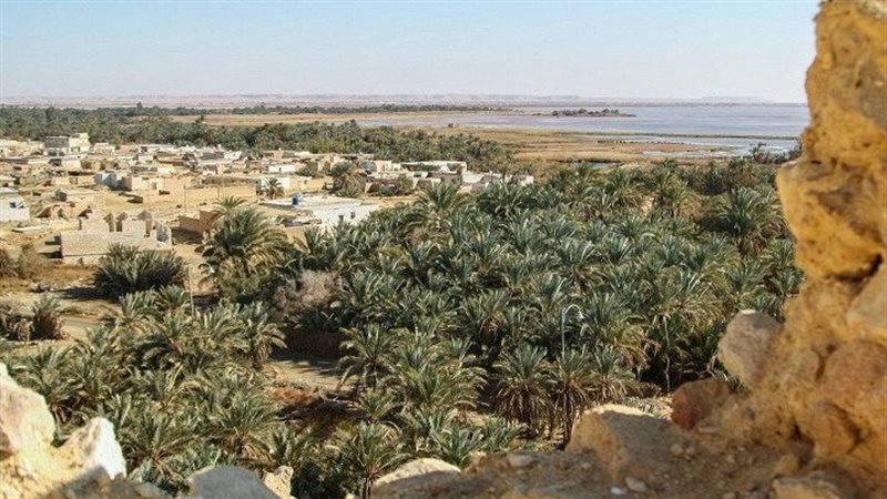 واحة سيوة