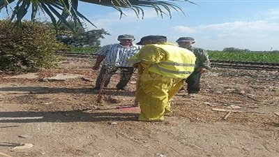 ضمن المبادرة الرئاسية.. استمرار زراعة الأشجار المثمرة بالشرقية | صور 