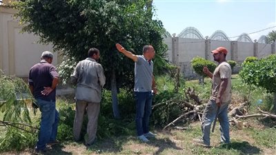 محافظ الإسكندرية: إجمالي المساحات الخضراء في المحافظة نحو 248.5 فدان 