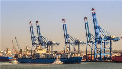  حجم الصادرات 14 ألف طن.. تداول 26 سفينة بضائع متنوعة بميناء دمياط 