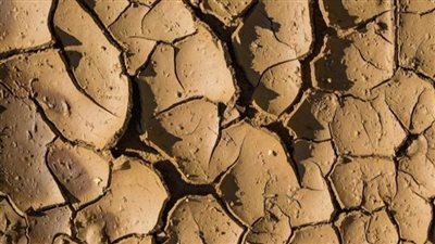 بسبب الجفاف.. لندن تمنع 15 مليونًا من ري الحدائق وغسل السيارات