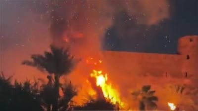 شاهد لحظة اندلاع حريق في أشجار ونخيل بجوار قلعة صلاح الدين| فيديو