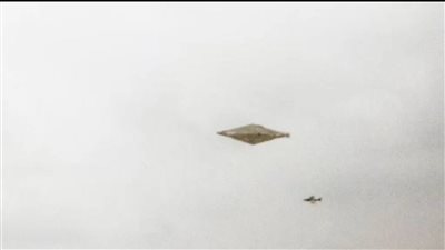 أول صورة واضحة لطبق طائر في بريطانيا بعد 32 عاما على التقاطها