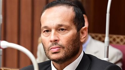 النائب محمد حلاوة: الدماء الجديدة فى الوزارة ستساهم فى تنفيذ رؤية الرئيس للنهضة الشاملة وتعميق الصناعة الوطنية