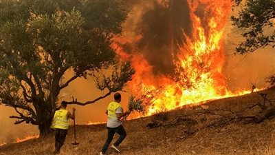 اندلاع 11 حريقا في 6 ولايات جزائرية