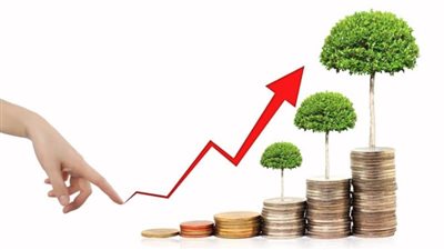 تعرف على ضوابط تنظيم إجراءات الاستثمار في القانون