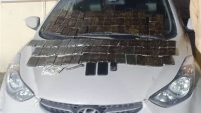 حملات تقتحم أوكار الكيف وتضبط 18 تاجر مخدرات في المحافظات 