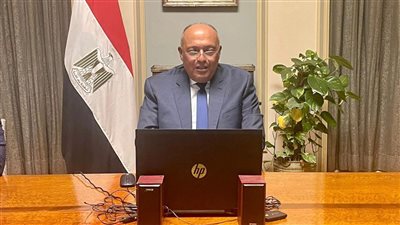 وزير الخارجية يعقد اتصالًا مرئيًا مع رئيس وزراء البهاما