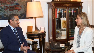 وزيرة الثقافة تستقبل محافظ الغربية لبحث مزيد من التعاون