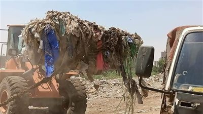 رفع 180 طن مخلفات في حملة بالطالبية | صور