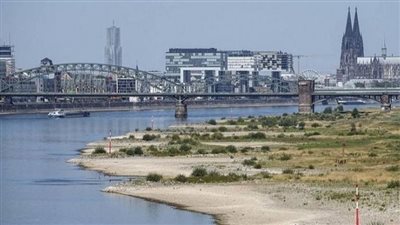 الجفاف يضع ألمانيا في مأزق.. انخفاض منسوب نهر الراين إلى مستوى قياسي