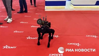 بزي النينجا وعيون قناص.. كلب آلي يحمل أسلحة ويمكنه إطلاق الصواريخ | فيديو
