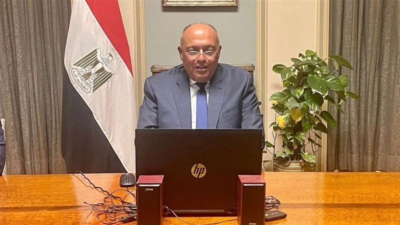 سامح شكري وزير الخارجية