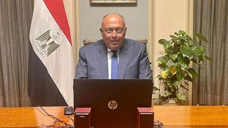 سامح شكرى وزير الخارجية