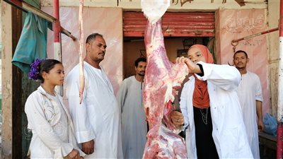 أسعار اللحوم اليوم 19-8-2022 فى شمال سيناء