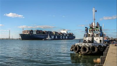 تداول 29 سفينة بضائع متنوعة بميناء دمياط