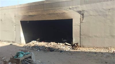 المتهم بقتل وحرق نجله بشبرا الخيمة يمثل جريمته