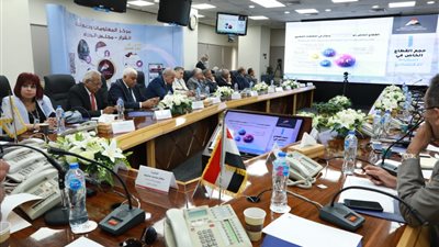 الحكومة تناقش مستهدفات وثيقة ملكية الدولة في قطاع الصناعات الكيماوية