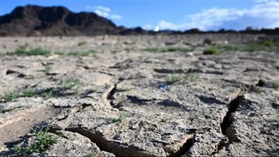 معظمها وجبات أساسية للمصريين.. هذه المحاصيل مهددة بالانقراض بسبب تغير المناخ