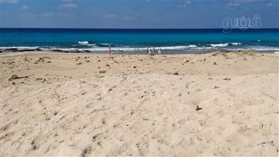 العثور على جثمان شخص مجهول الهوية بشاطئ أبو لهو بمطروح