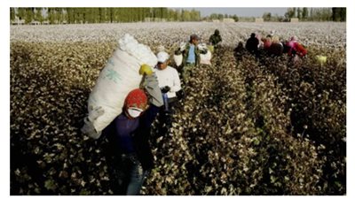 الأمم المتحدة تحذر من الاسترقاق في منطقة شينج يانج الصينية