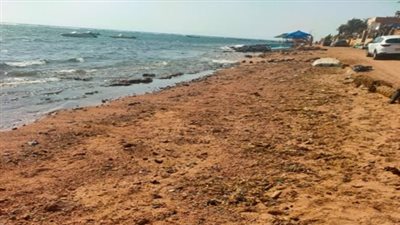  وزيرة البيئة: انتهاء أعمال مكافحة التلوث الزيتي بعدد من شواطئ دهب 