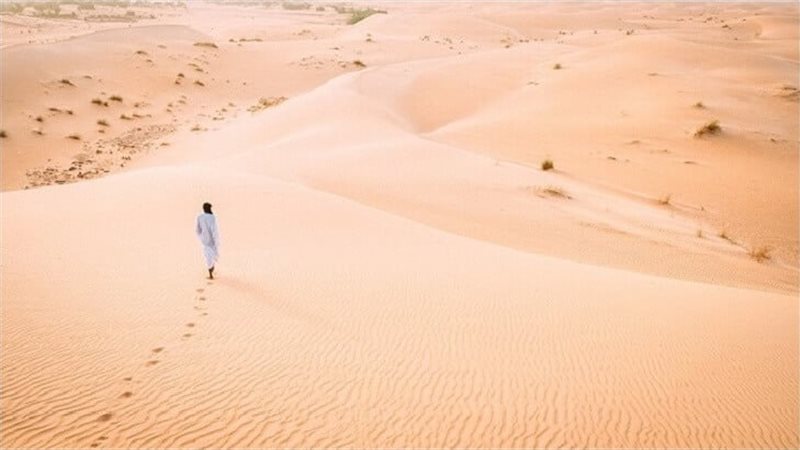 تفسير حلم المشي في