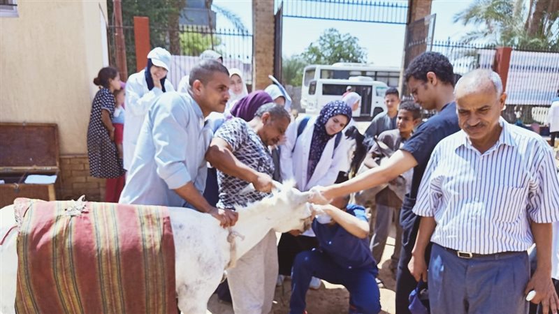  قافلة بيطرية بأسيوط