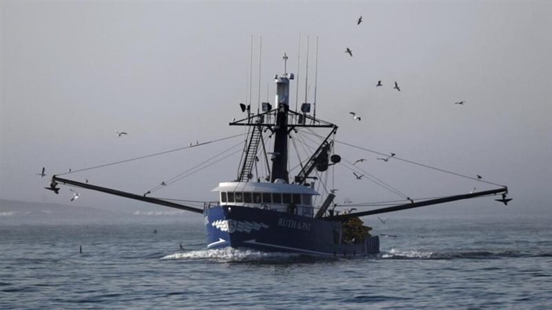 مركب صيد