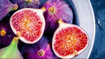 تفسير رؤية التين في المنام وعلاقتها بعودة المسافر إلى وطنه 