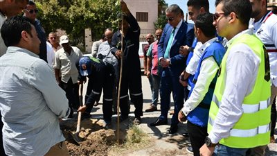 الفيوم تطلق مبادرة أشجار بلا كوارث لتحسين البيئة | فيديو