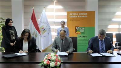 وزيرة البيئة: إطلاق وتنفيذ جائزة مواجهة التغير المناخي في أفريقيا