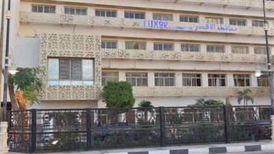 الأقصر تعلن عن تنظيم مزاد لبيع محصول البلح