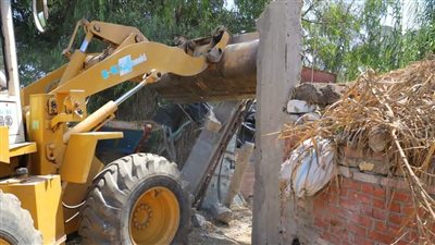 إزالة 3 حالات تعد على الأراضي الزراعية وأملاك الدولة بالأقصر 