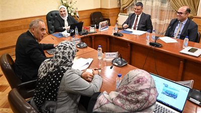 القباج تبحث مع نائب وزير الاتصالات استكمال استراتيجية التحول الرقمي