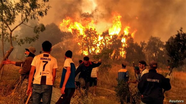مصر تعزي الجزائر في ضحايا حرائق الغابات