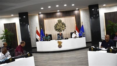 محافظ أسوان: لجان فنية مشتركة للمرور على المنشآت للتأكد من التزامها بترشيد استهلاك الكهرباء 